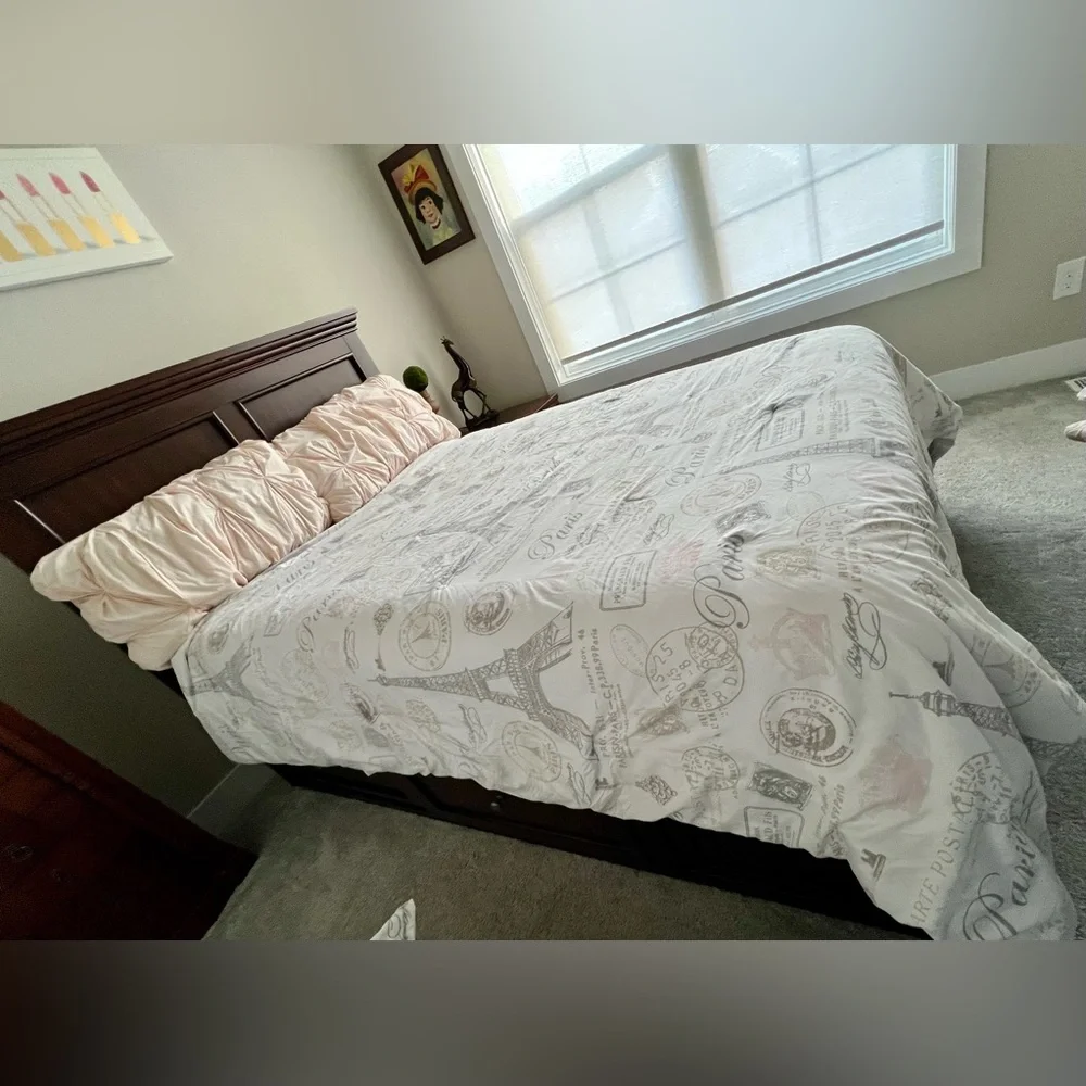 Paris full size comforter.